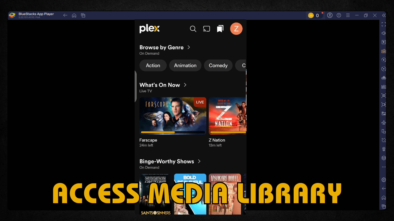 Access Media Library